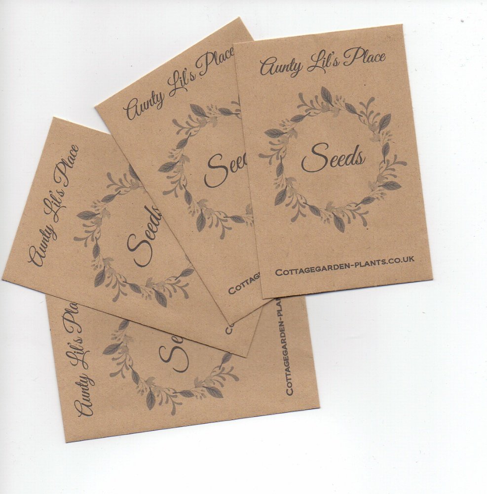 Seed Packet Templates Aunty Lil s Place Best Gluten Free Recipes